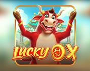 Lucky Ox PP